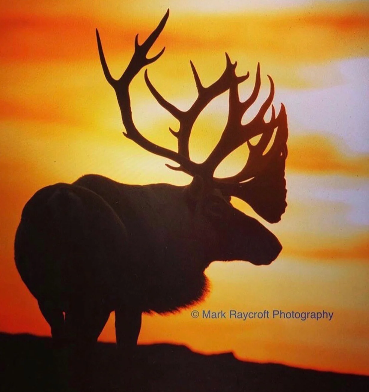 Travel to the Edge of the North American Wilderness!