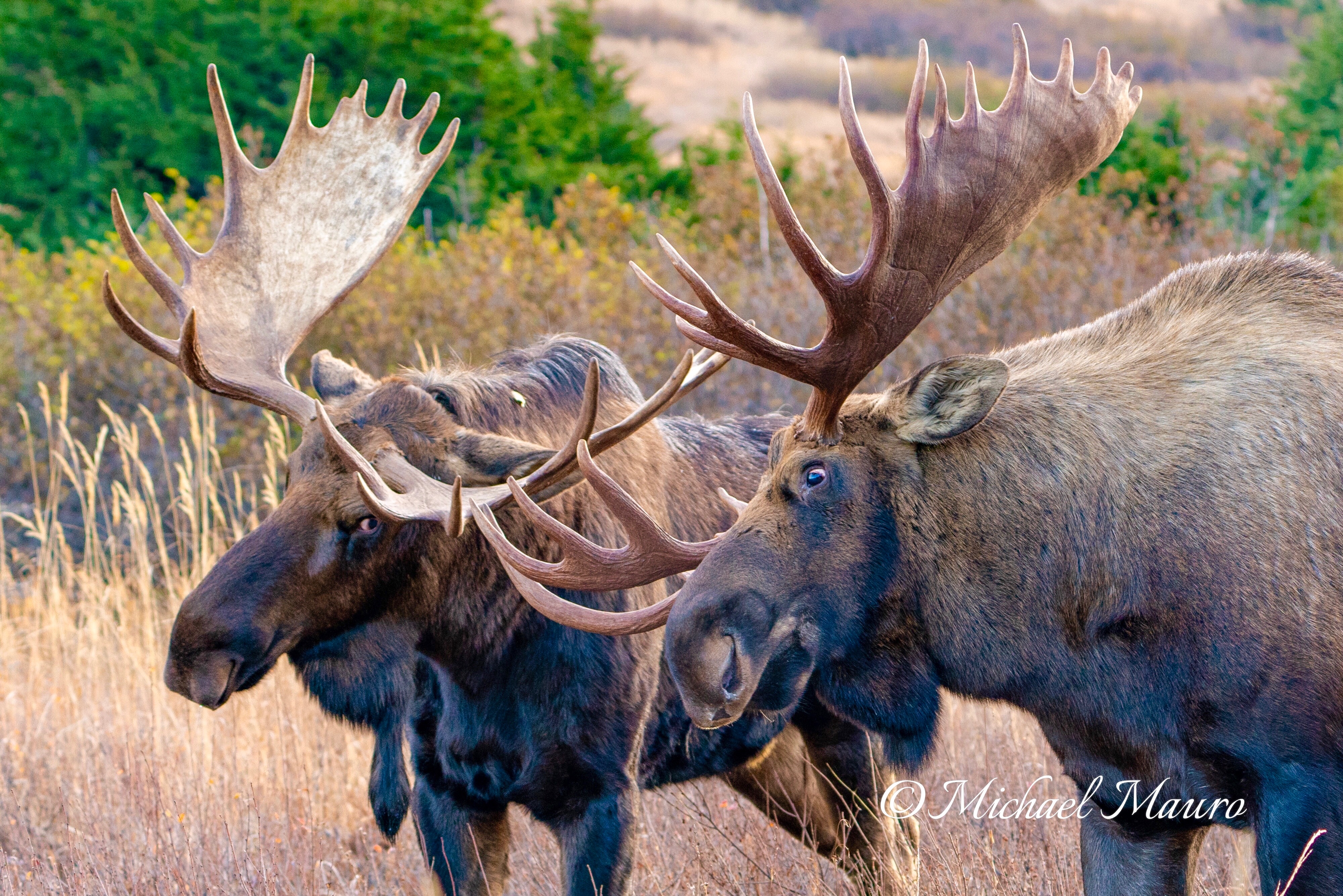 Your Photography Questions, Our Answers, Tips, Tricks and Hacks!