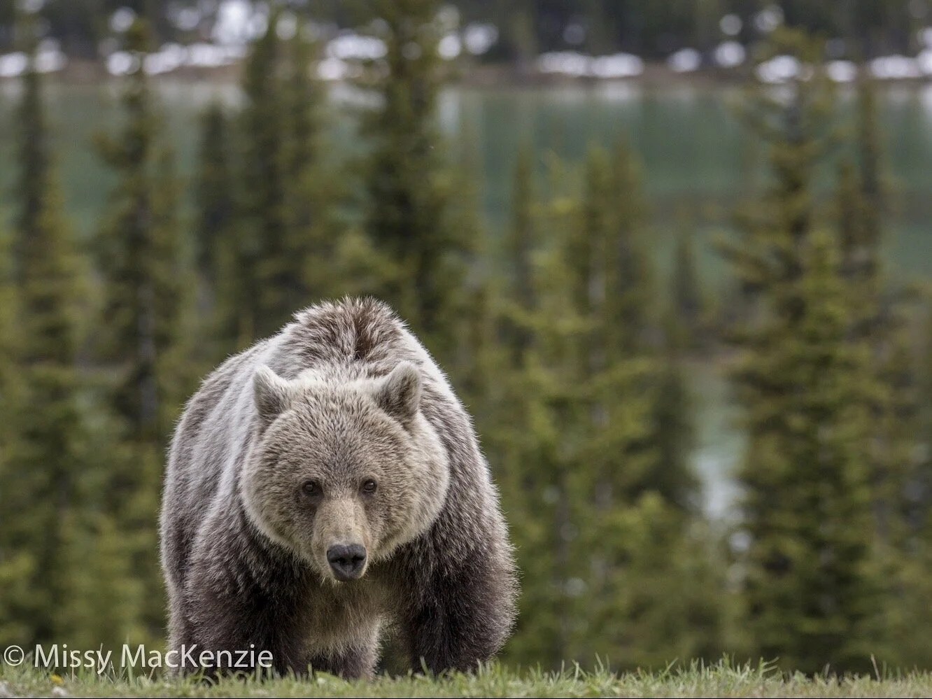 Pro Tips to Help Elevate Your Personal or Professional Branding!