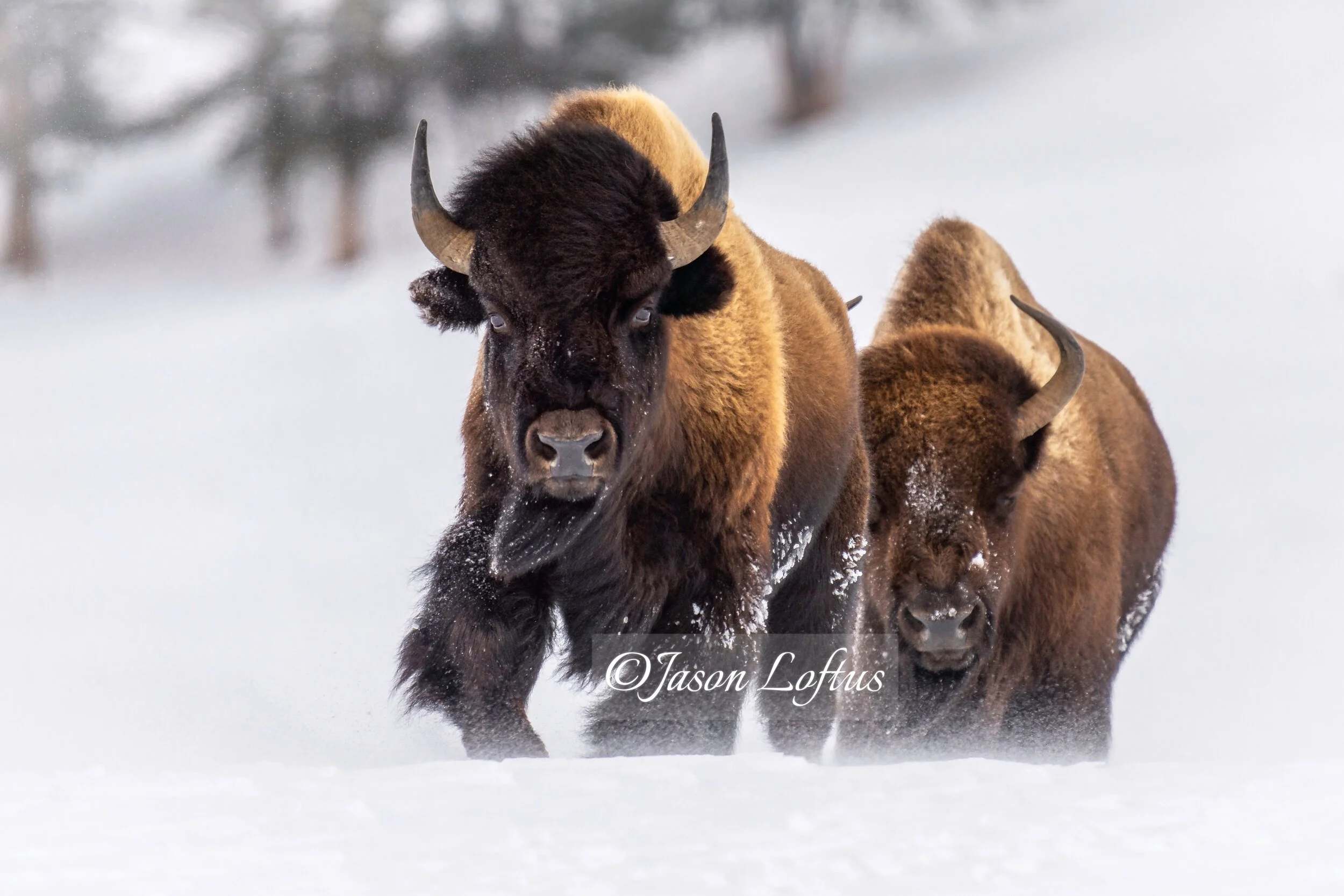 Exposure, It's Not Always Illegal!