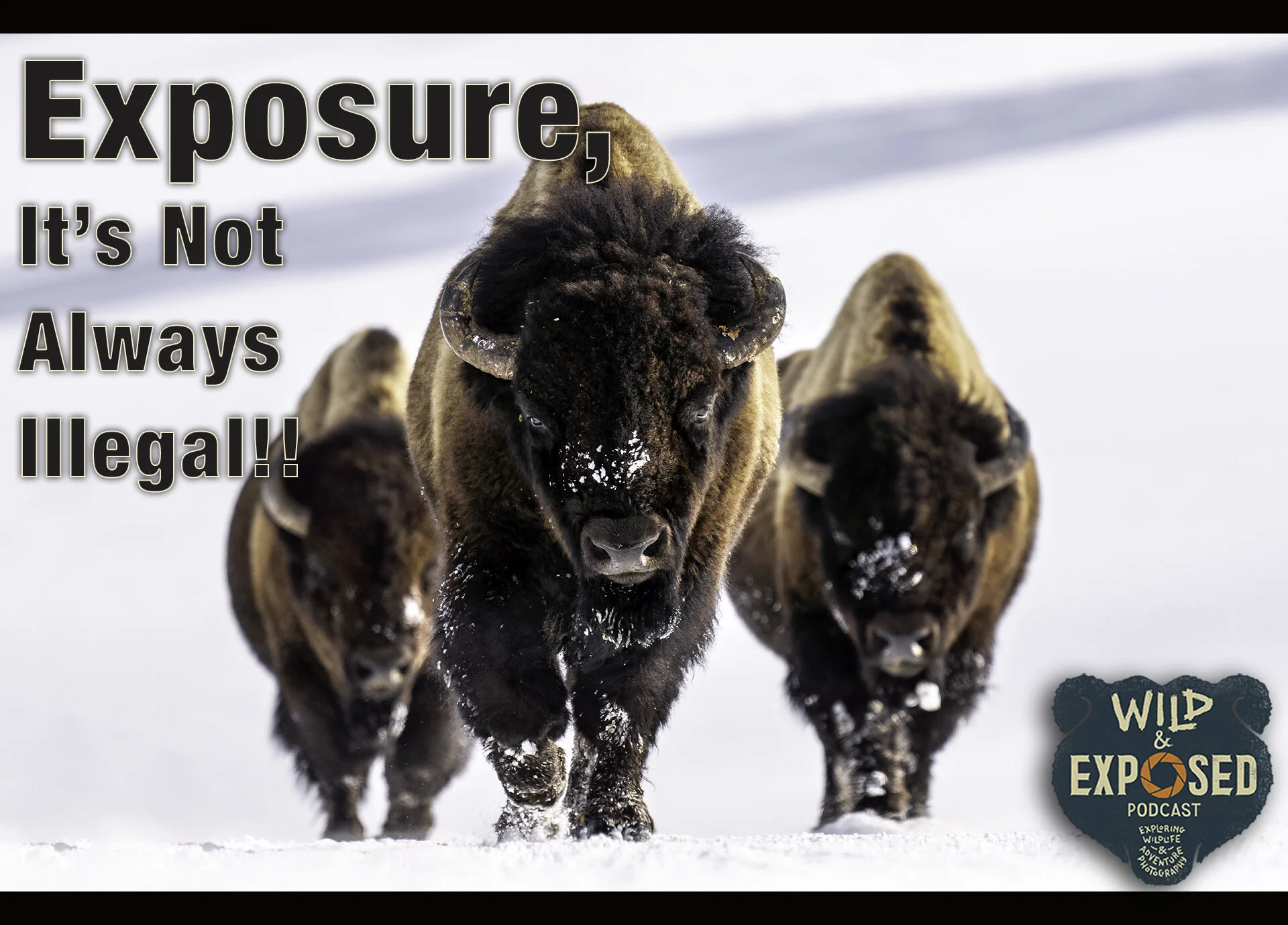 Video Version: Exposure, It’s Not Always Illegal!!