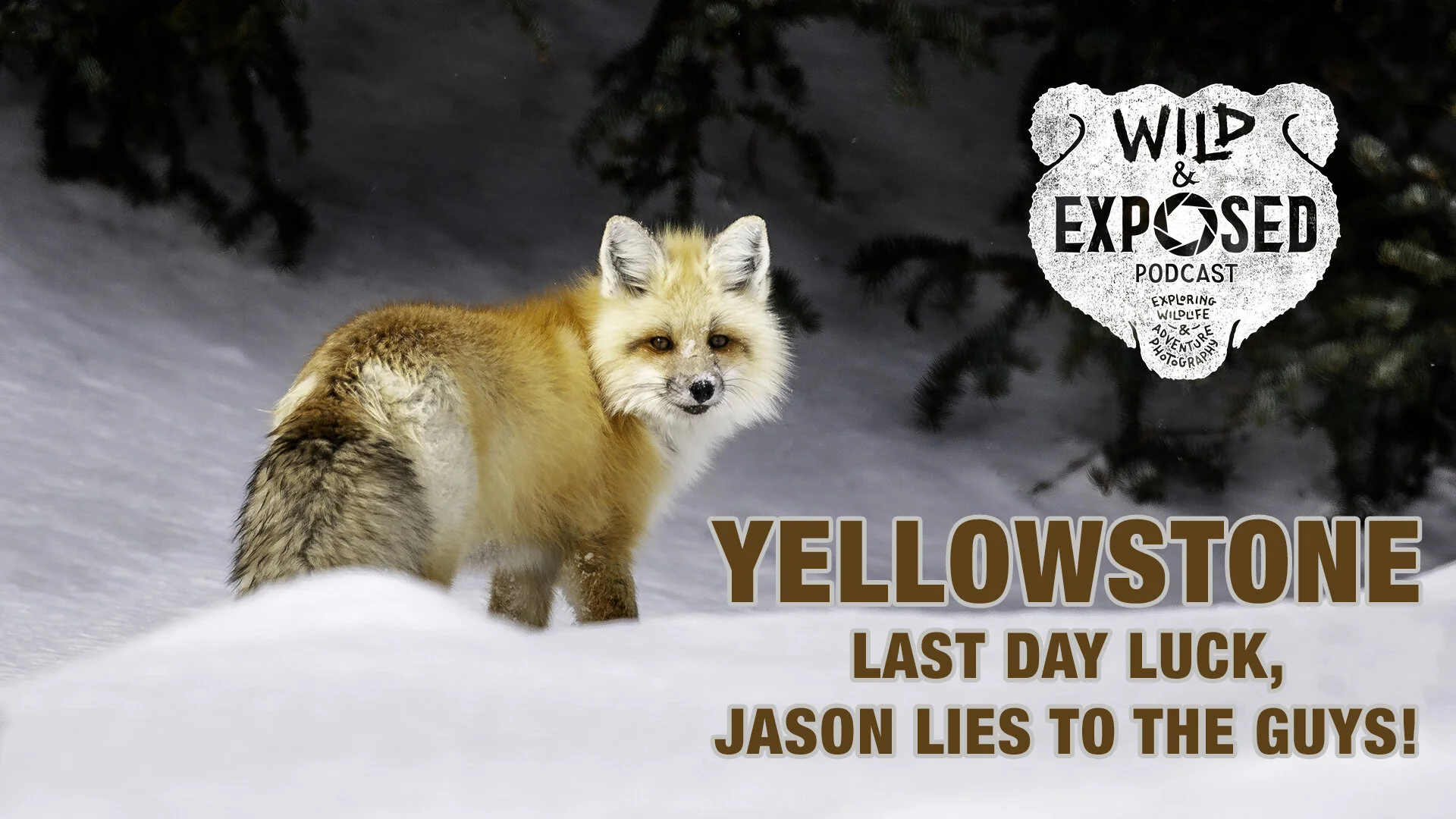 Video Version - YELLOWSTONE LAST DAY LUCK, JASON LIES TO THE GUYS!