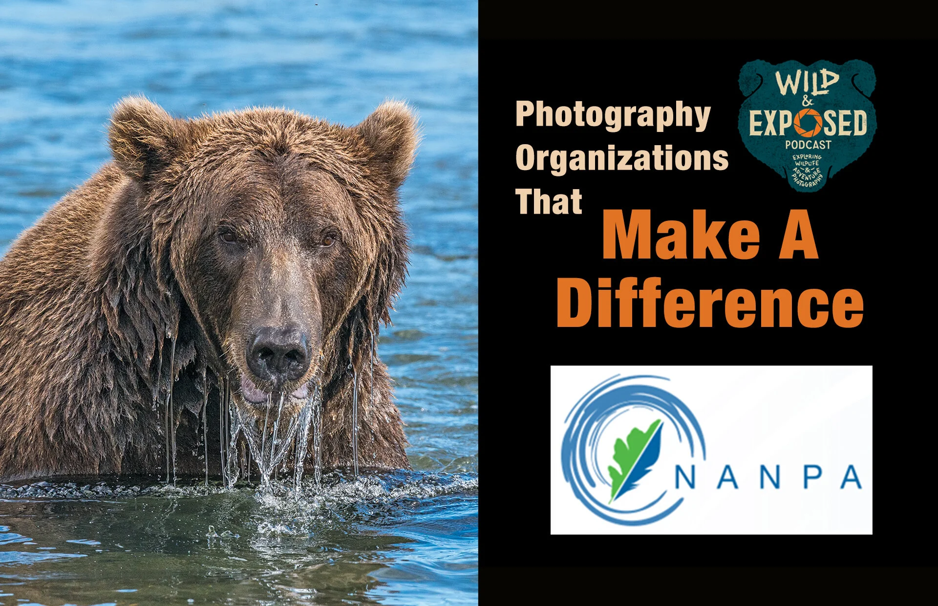 Photography Related Organizations That Make A Difference