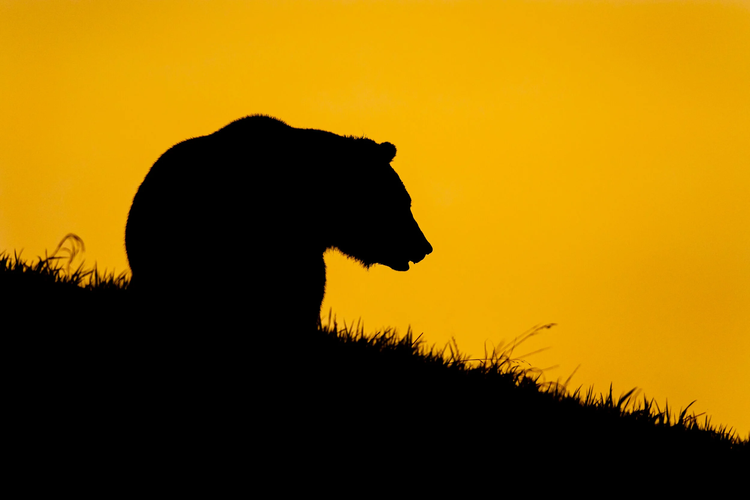 Finally Back in the Field!!!!