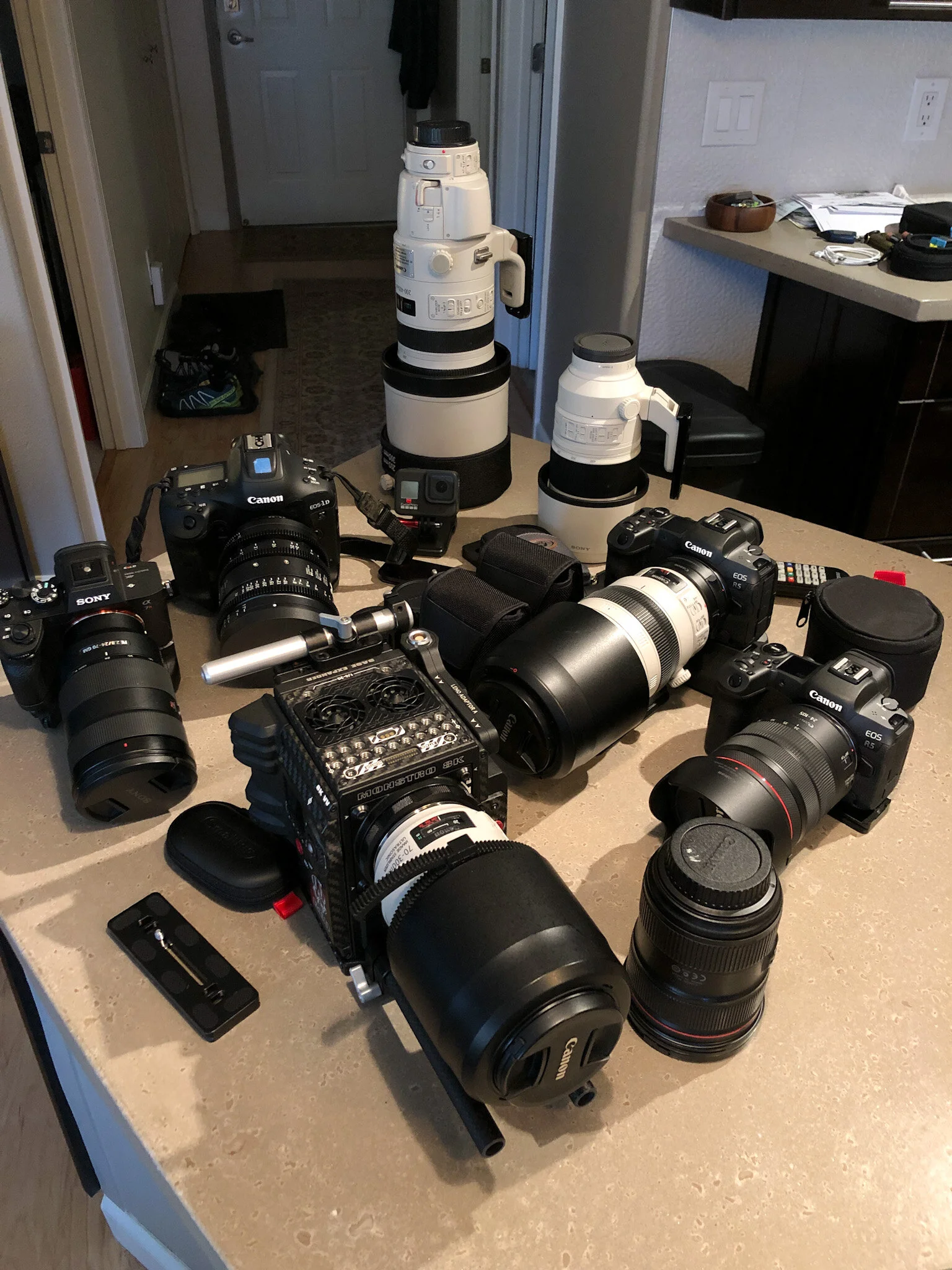 Curious Minds in the World of Wildlife Photography