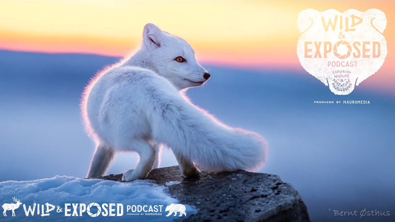 Award Winning Nature Photography of Norway - Bernt Østhus guests on the Wild and Exposed Podcast.