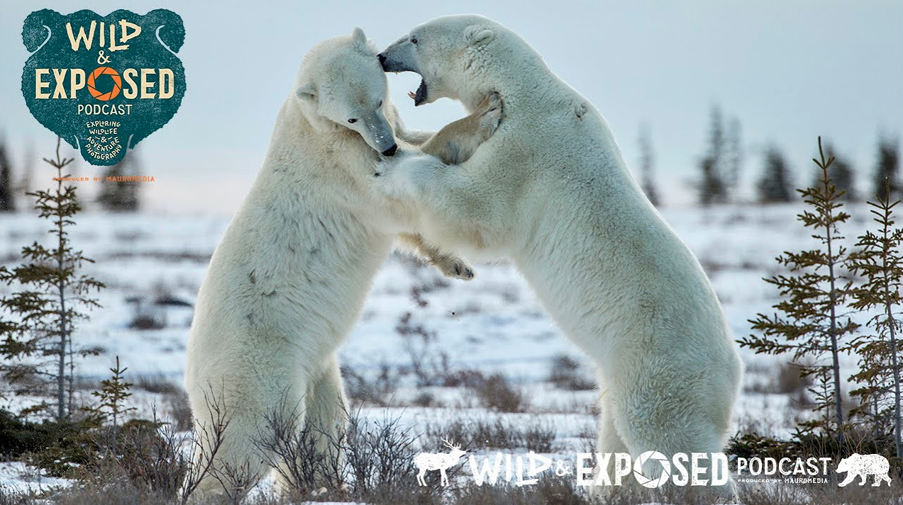 Nikon News and Mirrorless Camera Tips - Michelle Valberg Photography