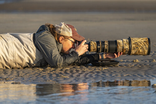 Dawn_beach_Gulfport_2021_2.jpg