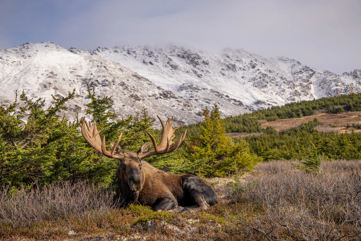 Questions From The Field - Season 4 - Episode 11