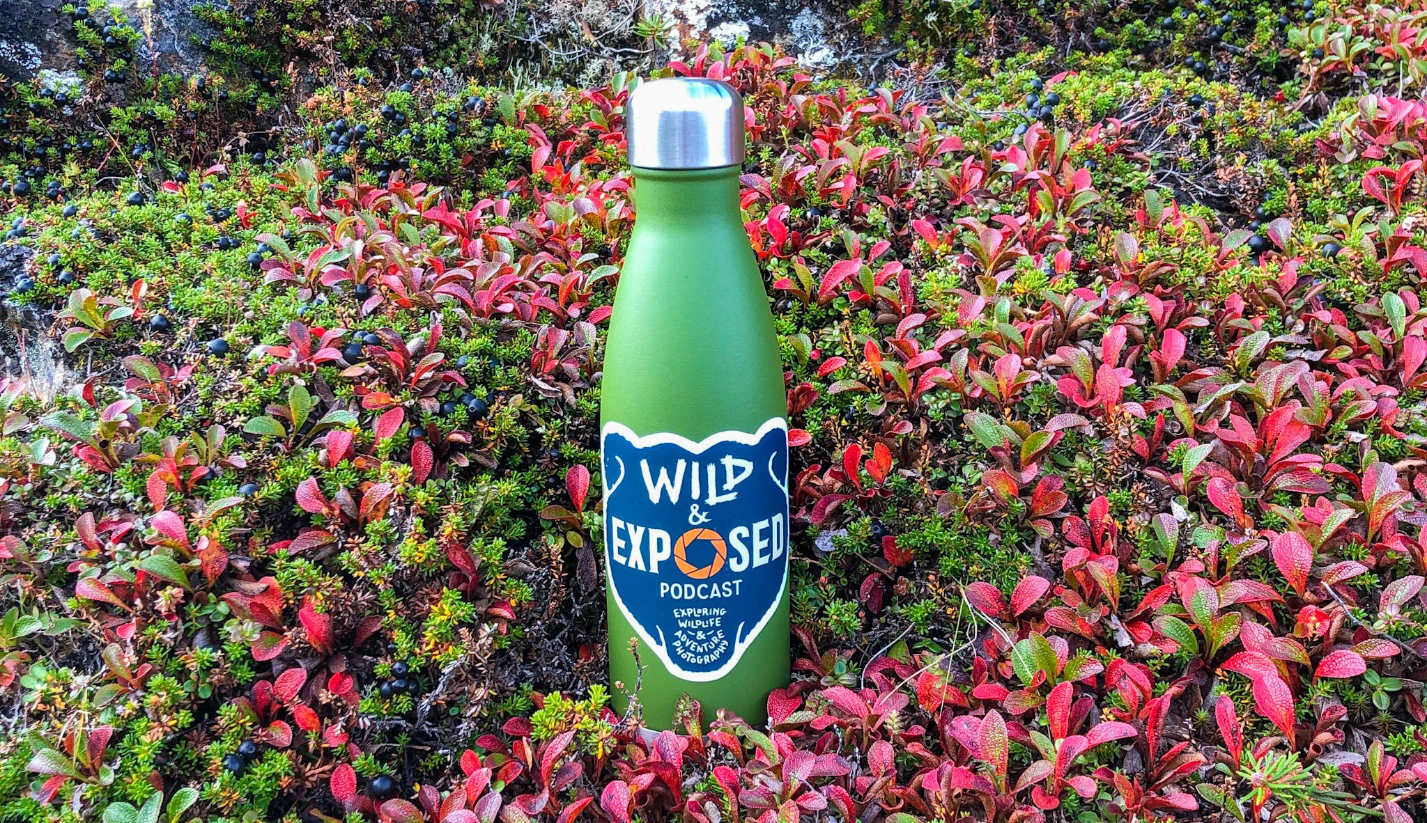 Wildlife Photography Q and A from around the Globe - Season 4 - Episode 23