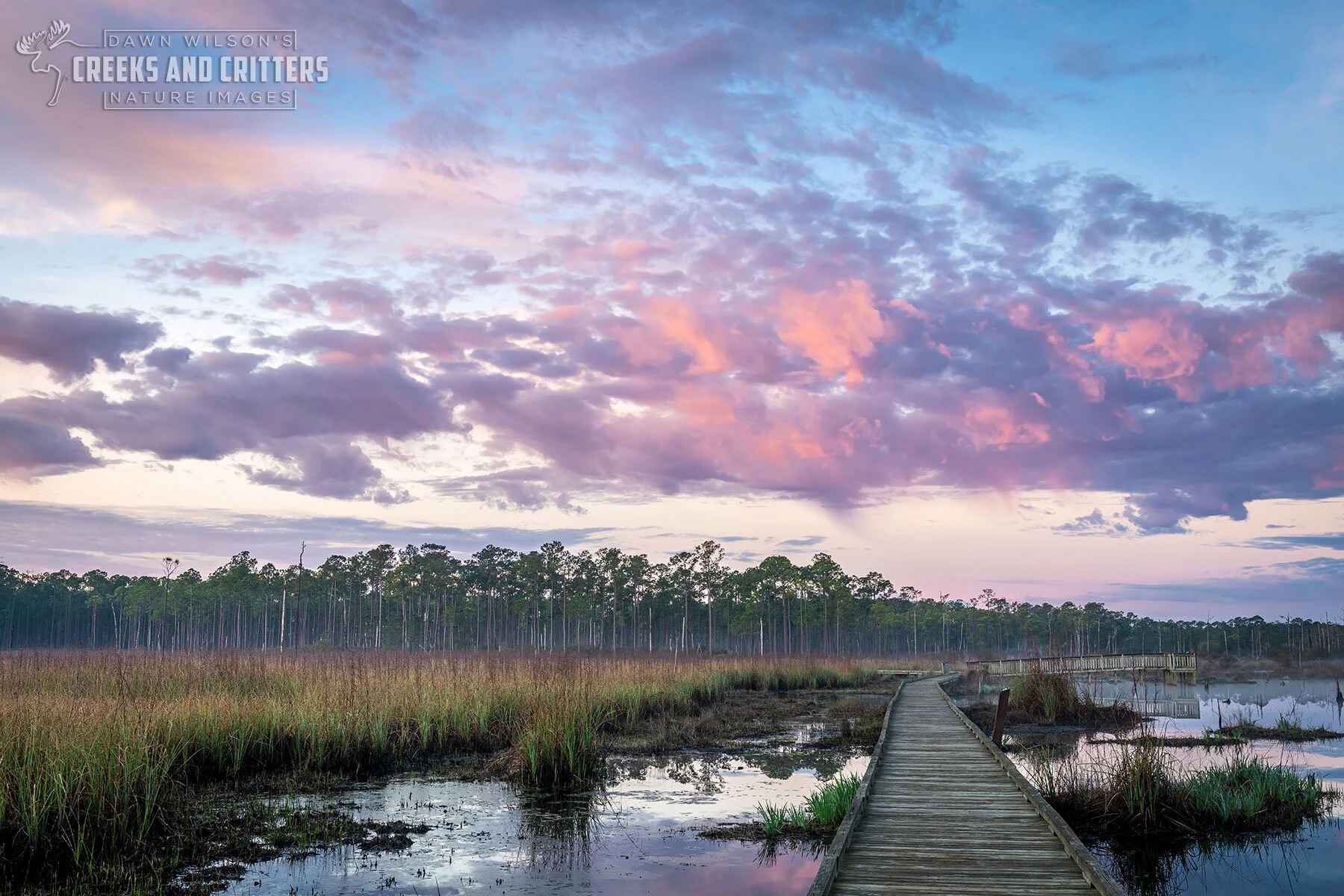 The Nature Photographer by NANPA: No Better Time