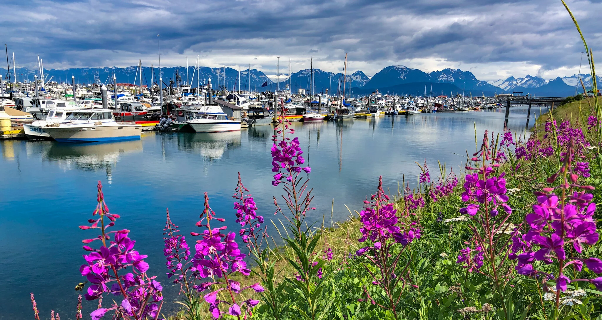 Catch Up, Pro Tips and Mark’s Big Announcement - Season 4 - Episode 36