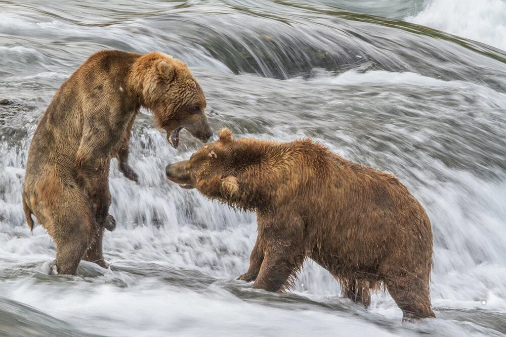 Alaskan Pioneer Wildlife Biologist Polly Hessing