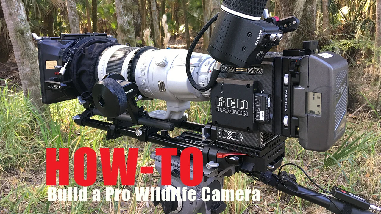 How To Build A Professional Wildlife Video Camera