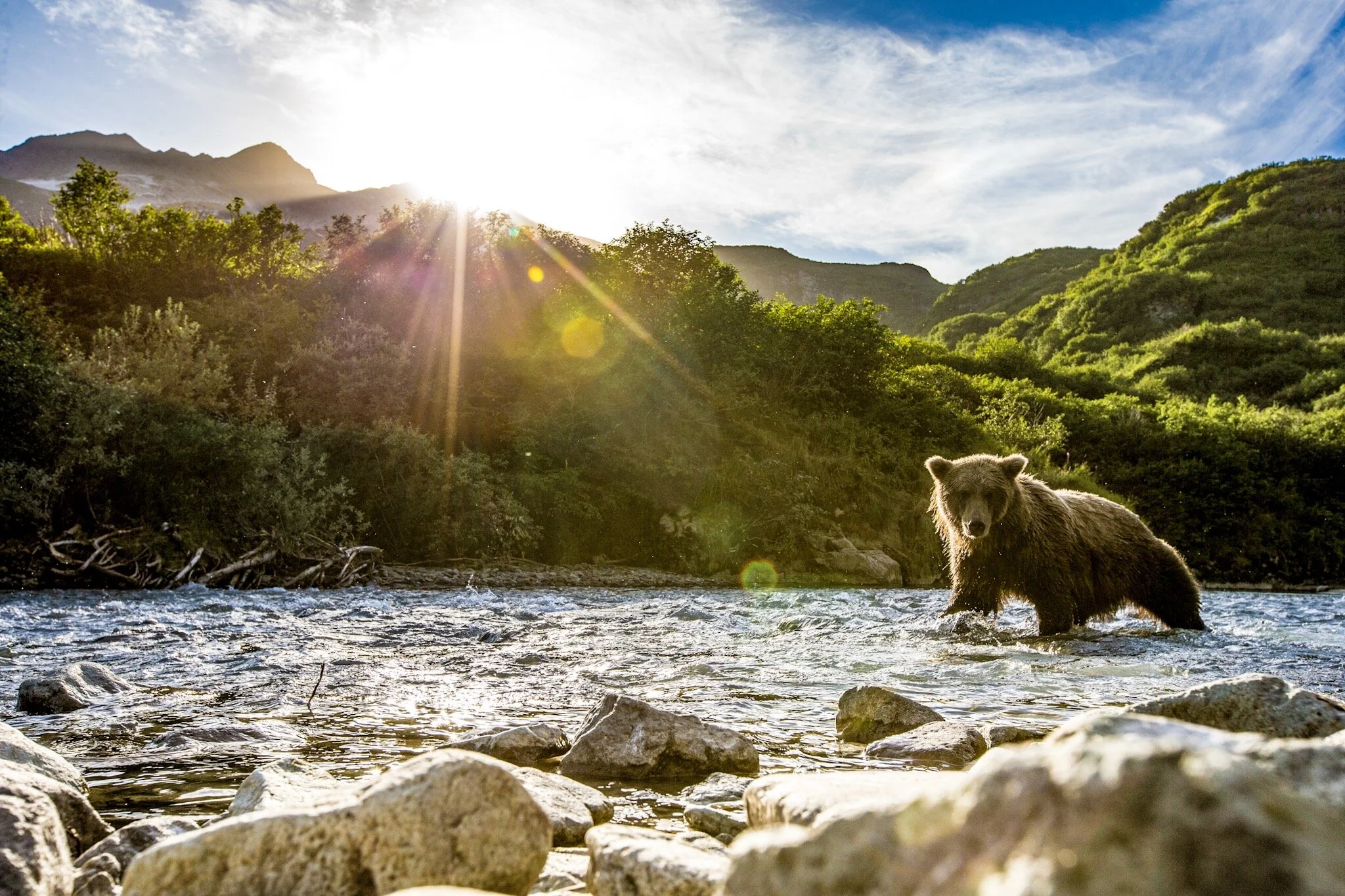 It’s the Little Things 