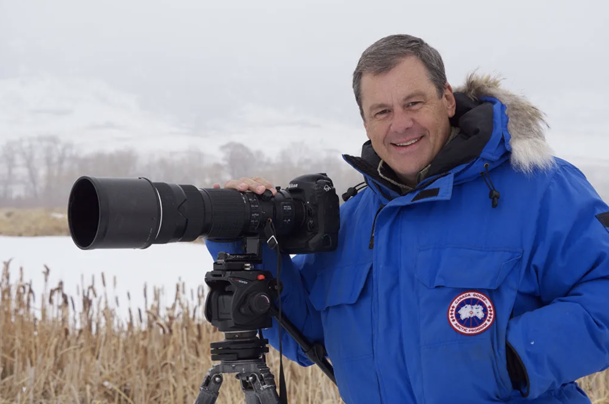 International Polar Bear Week with Daniel J. Cox 