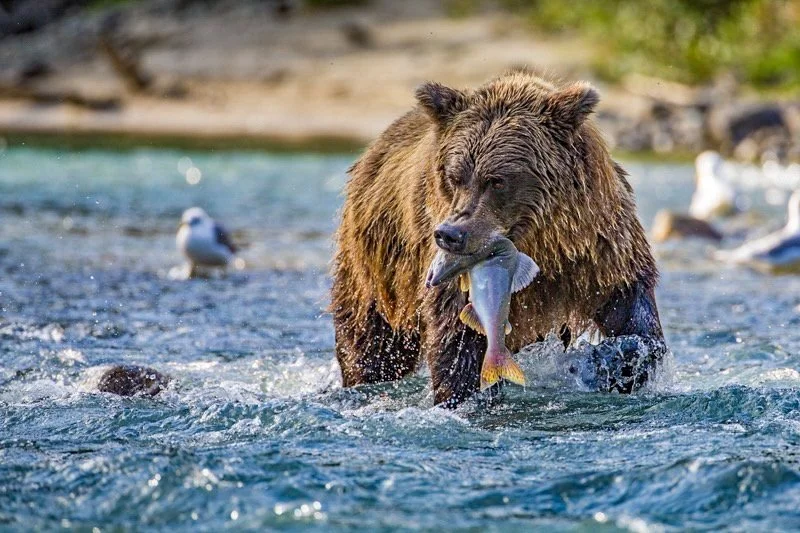 Wrap Up 2021 - Season 4 - Episode 55