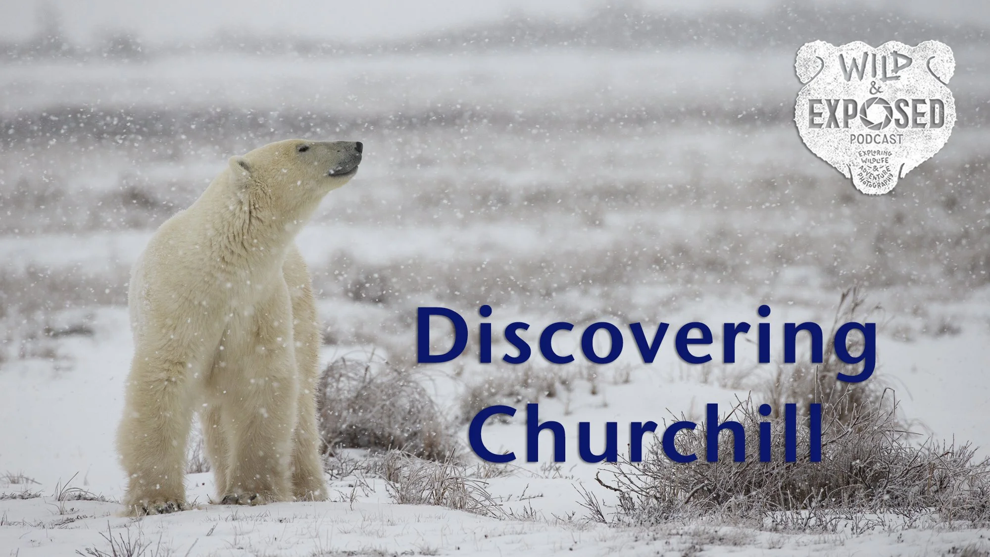 Discovering Churchill - VIDEO - Wild and Exposed Podcast