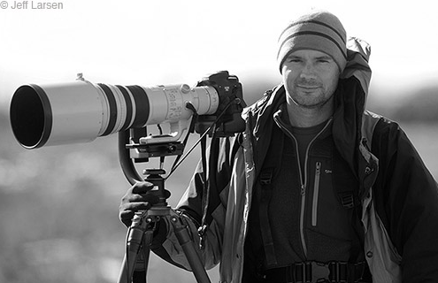 Pangolin to the Pantanal, make your own Luck with Max Waugh