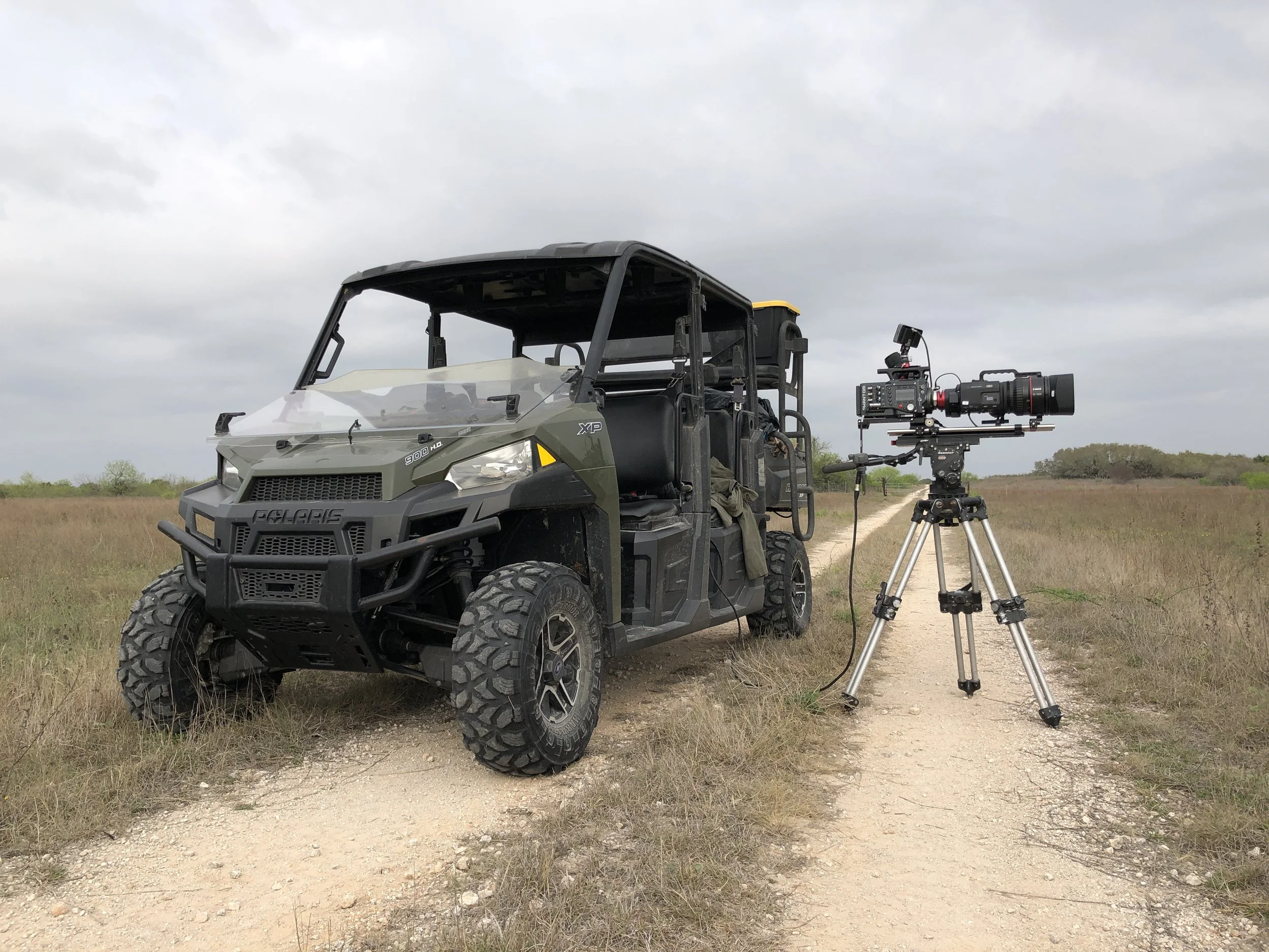 The Best Wingmen in the World | The Mating Game | BBC Earth