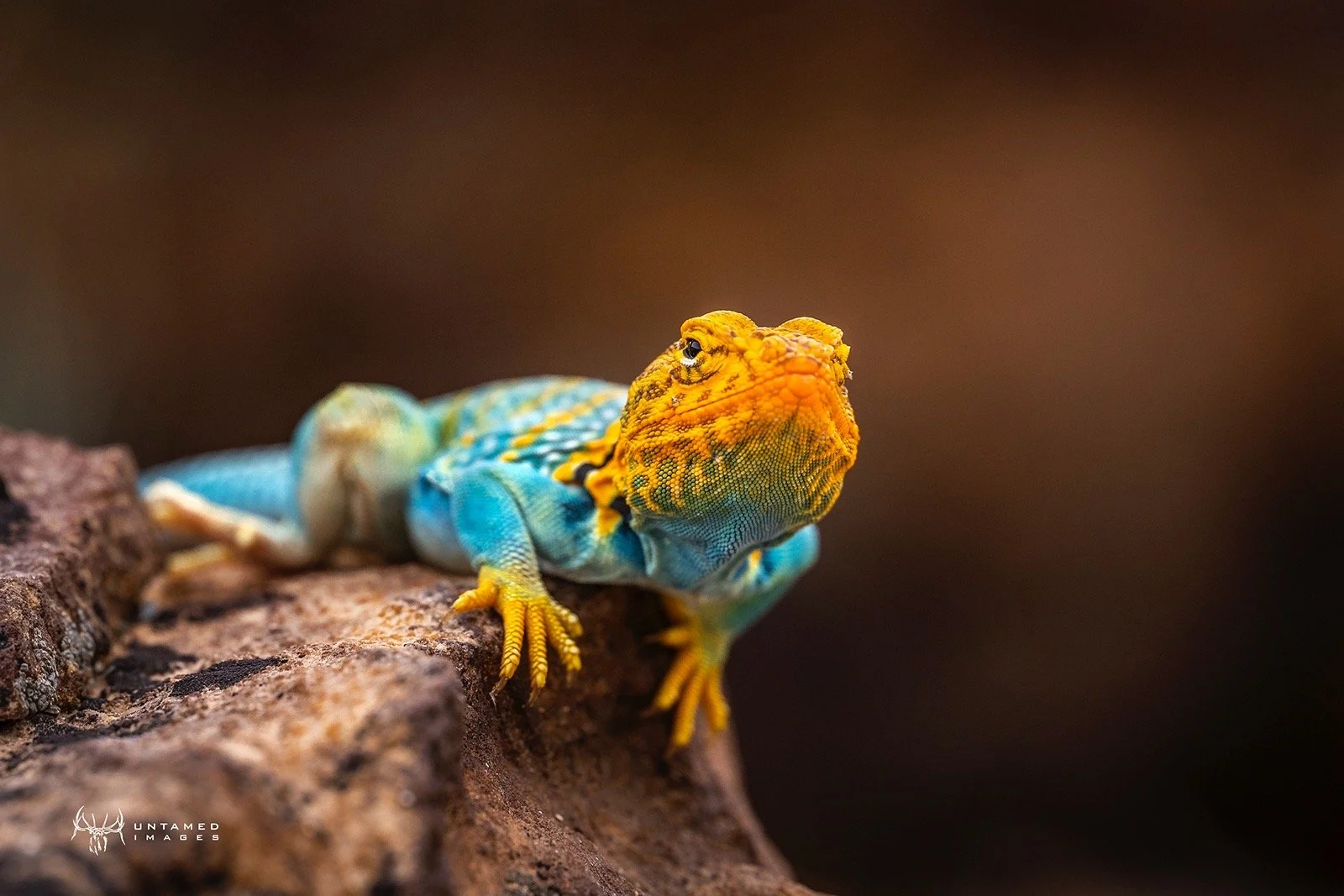 Information Overload - Crew Catch Up