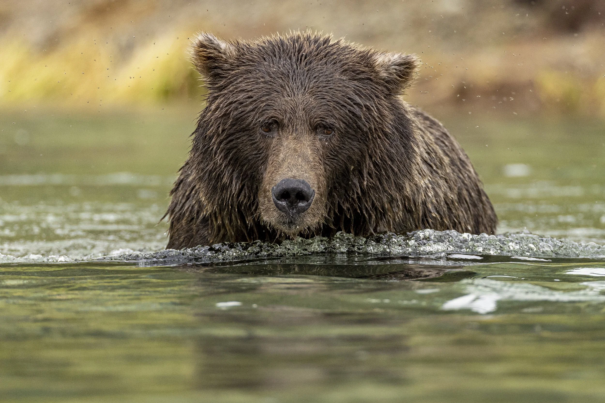 Participants Point of View with Brandon Day - Season 5 - Episode 233