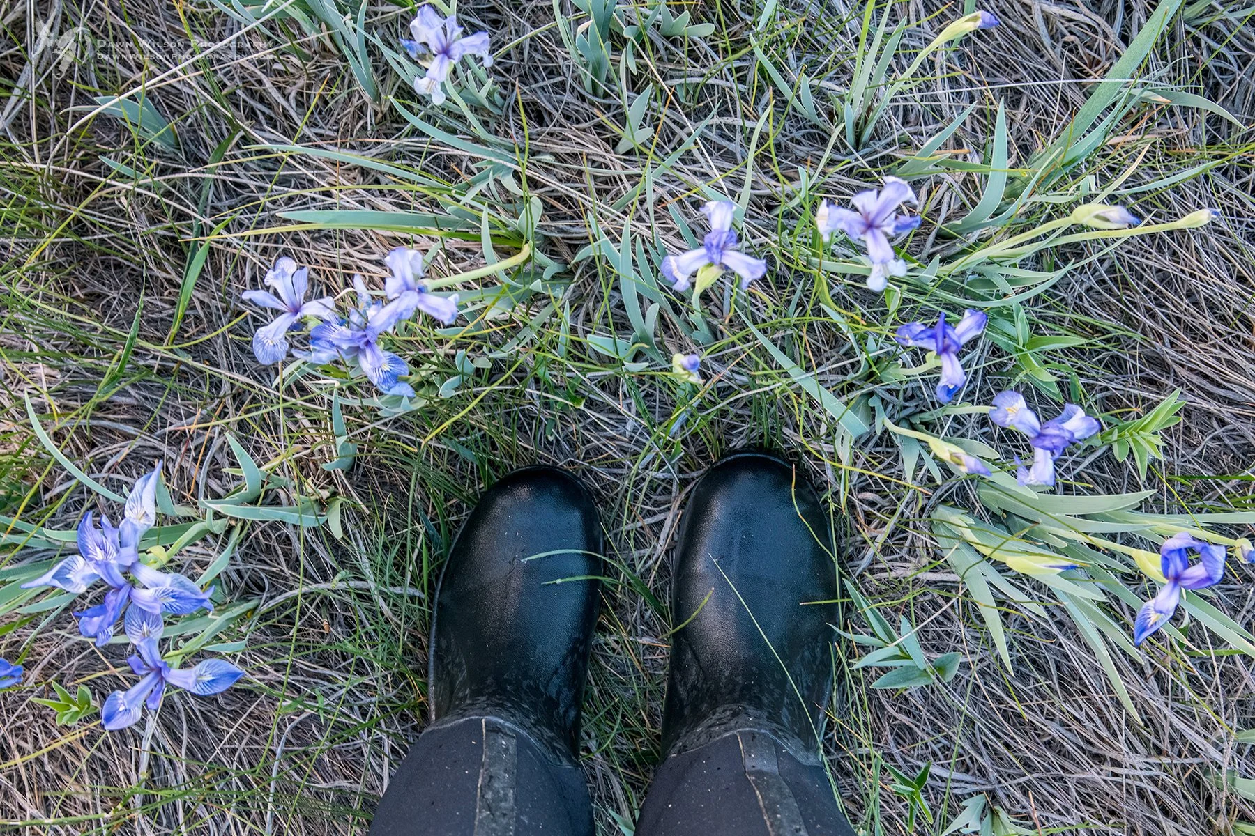 Muck_boots_RMNP_2019_1.jpeg