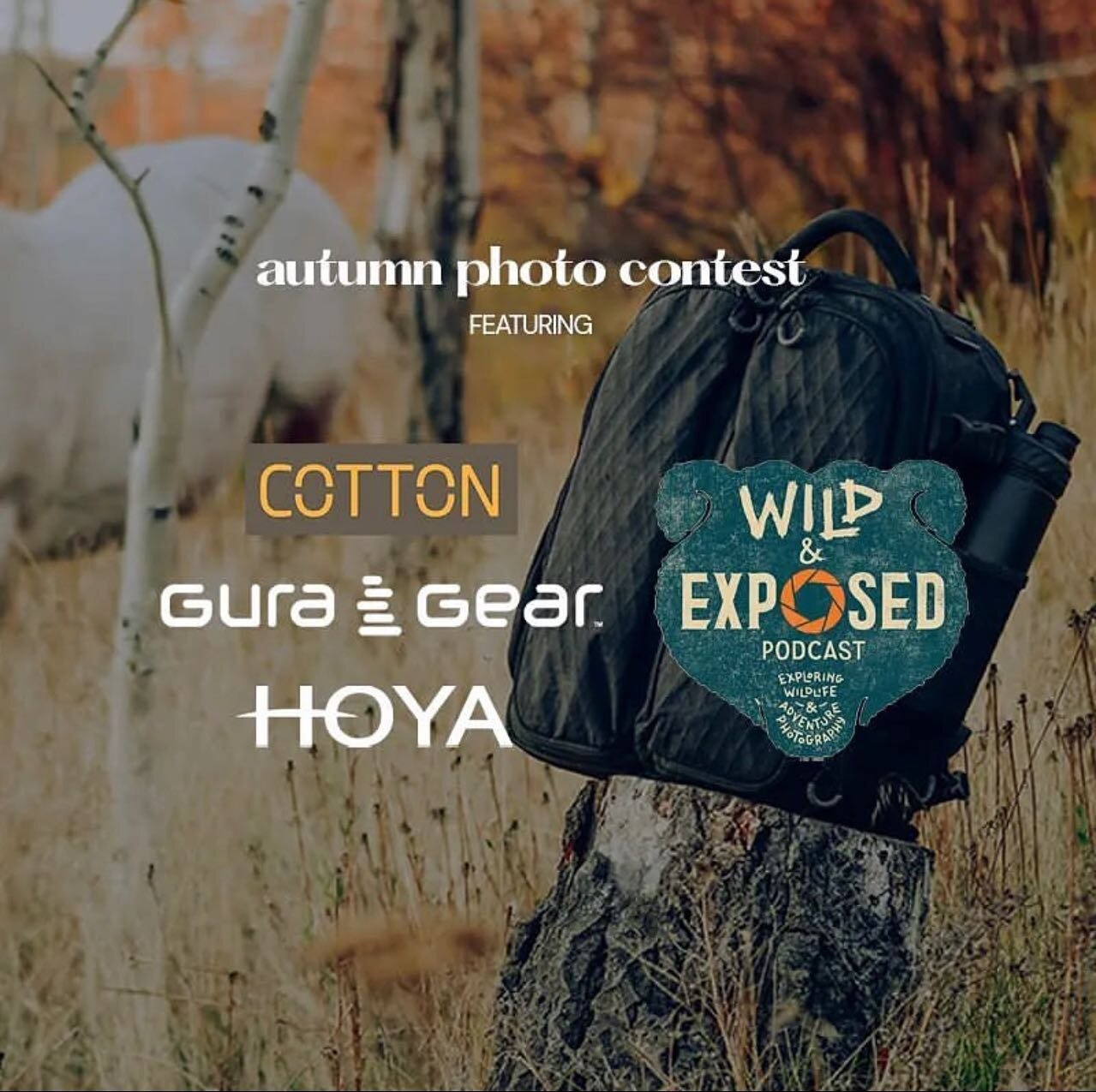 Gura Gear, Cotton Carrier, Wild &amp; Exposed Podcast, UntamedImagesbyJL, and Hoya Filters USA have come together to host an Autumn Photo Contest this October/November.
🍂🍂🍂🍂🍂🍂🍂🍂🍂🍂
Submit your best Autumn photos to win prizes totaling over $