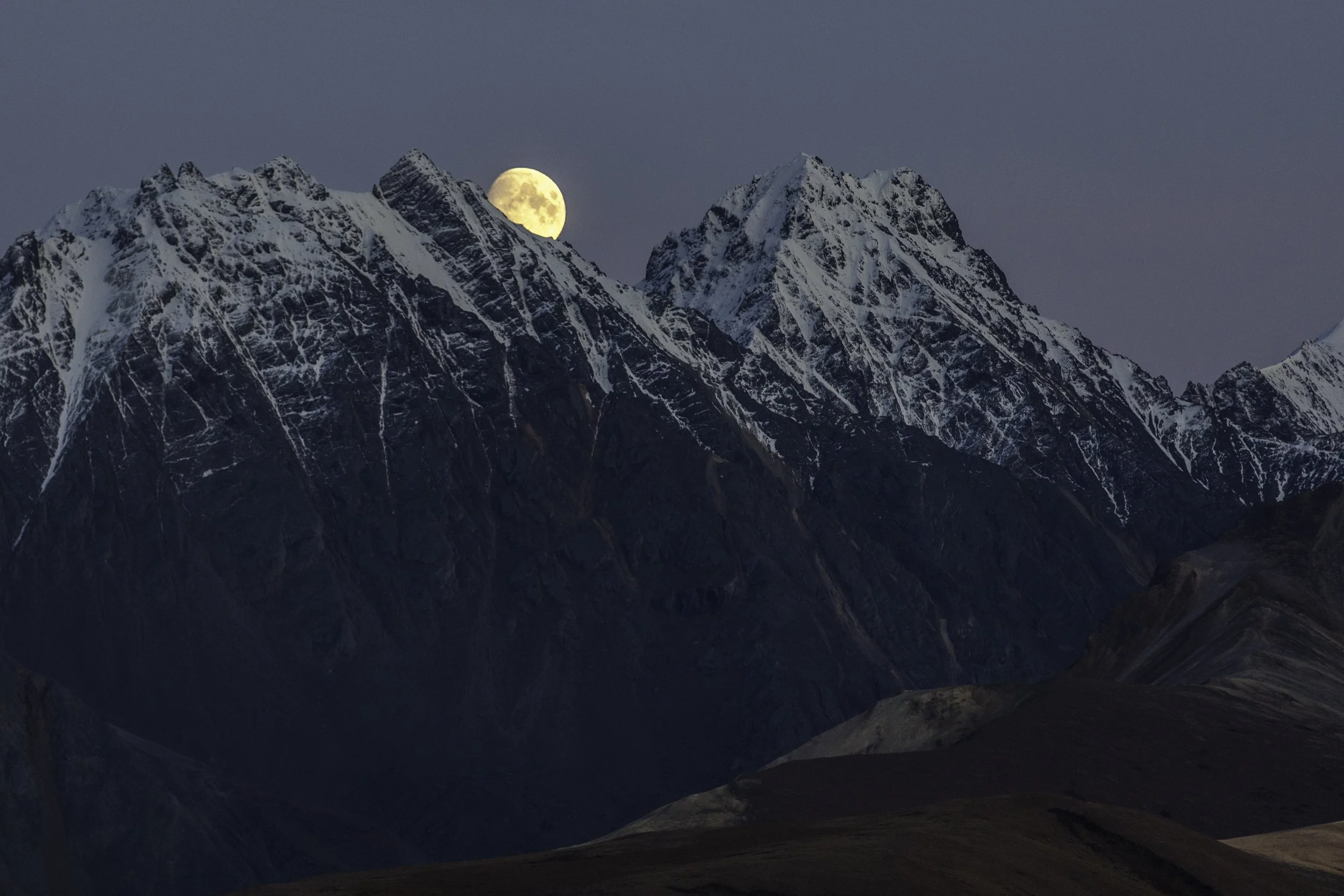 Catch Us If You Can - Season 5 - Episode 234