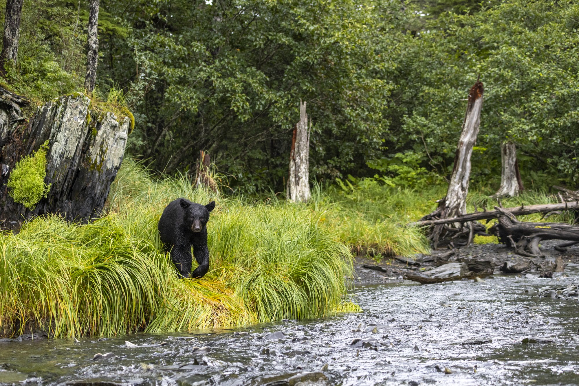 Trivia Take Two - Season 5 - Episode 235