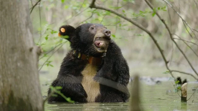 The Making of a Masterpiece with Doug Gardner