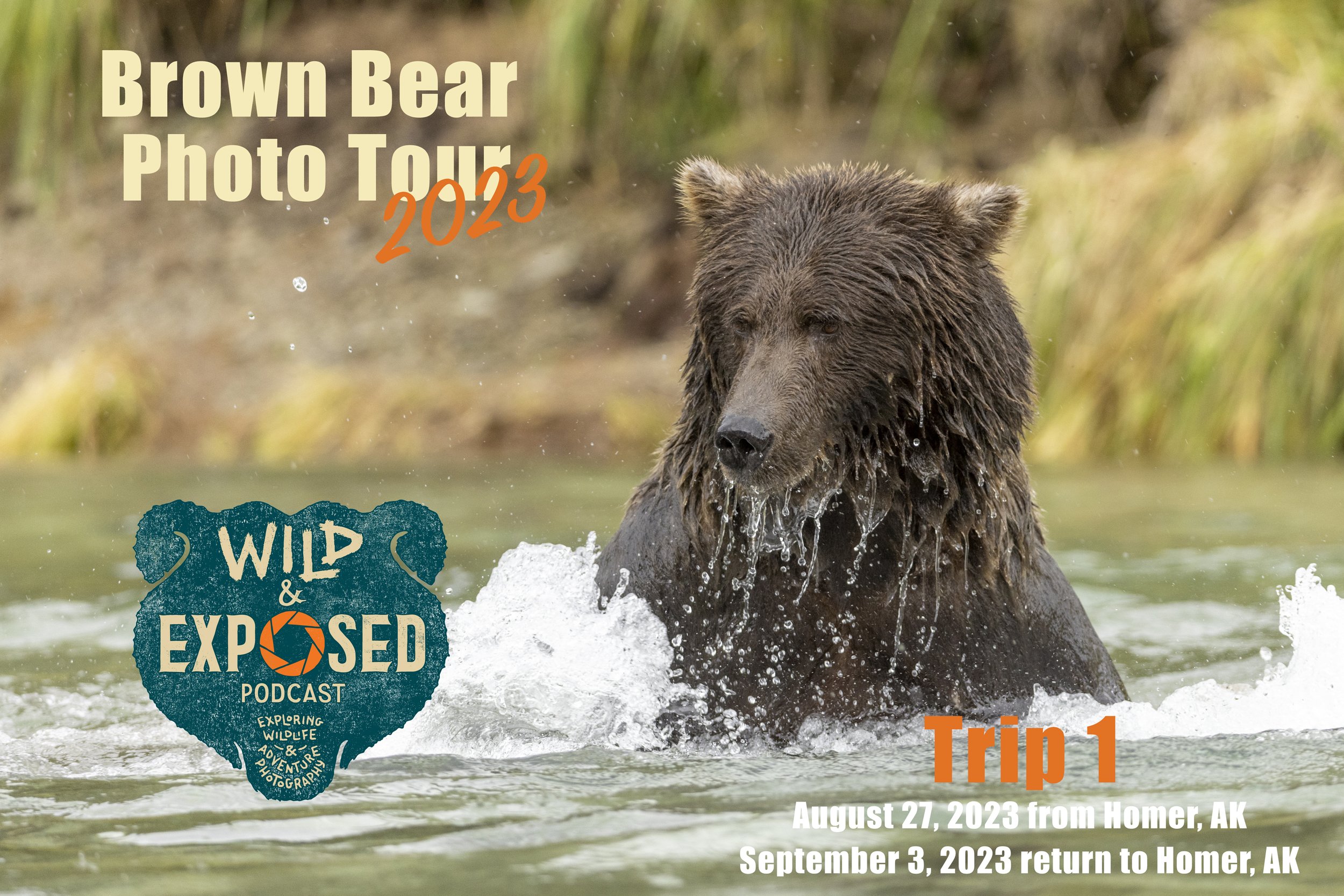Wild and Exposed Brown Bear Trip #1