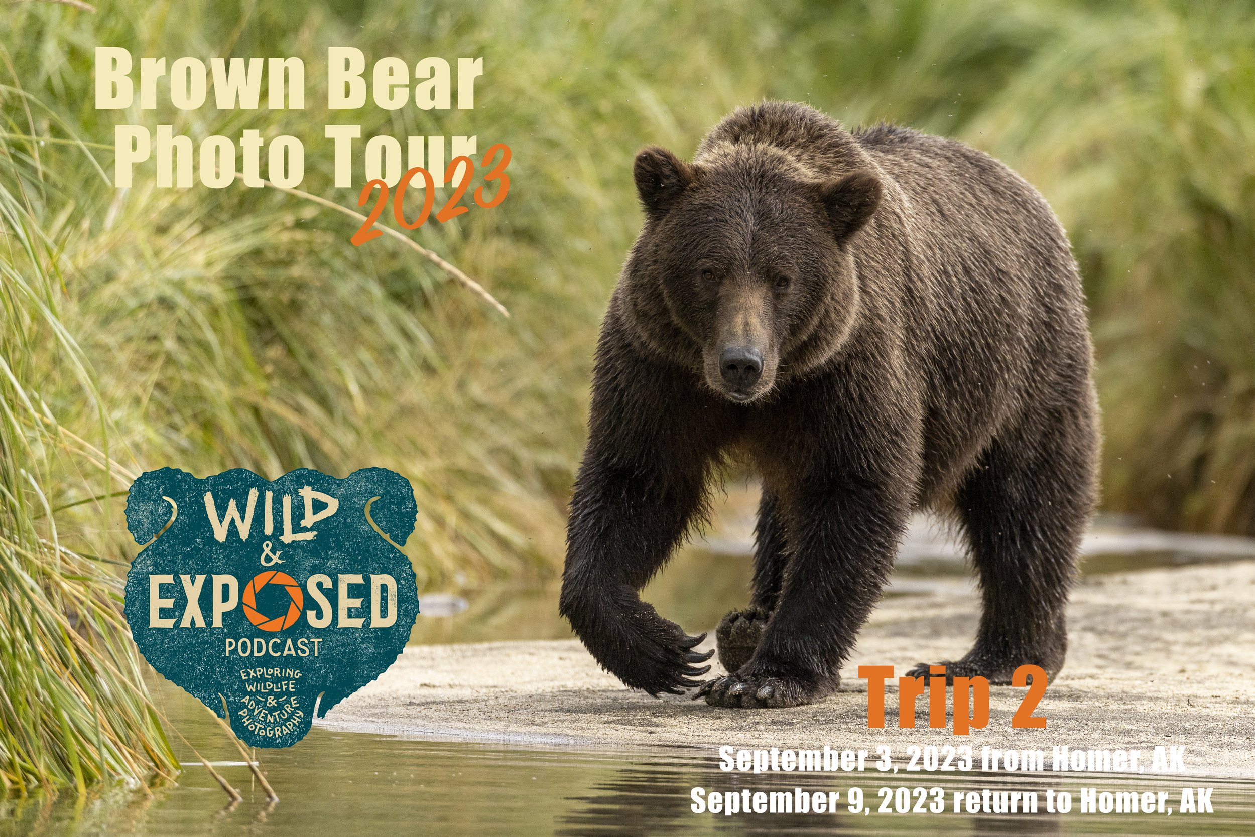 Wild and Exposed Brown Bear Trip #2