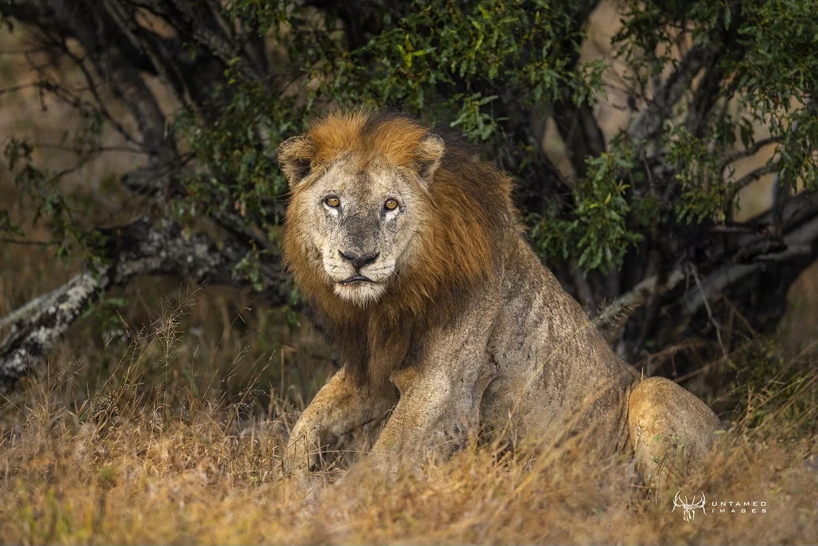 All in Outdoors with Drew Butterwick   Season 5 - Episode 237