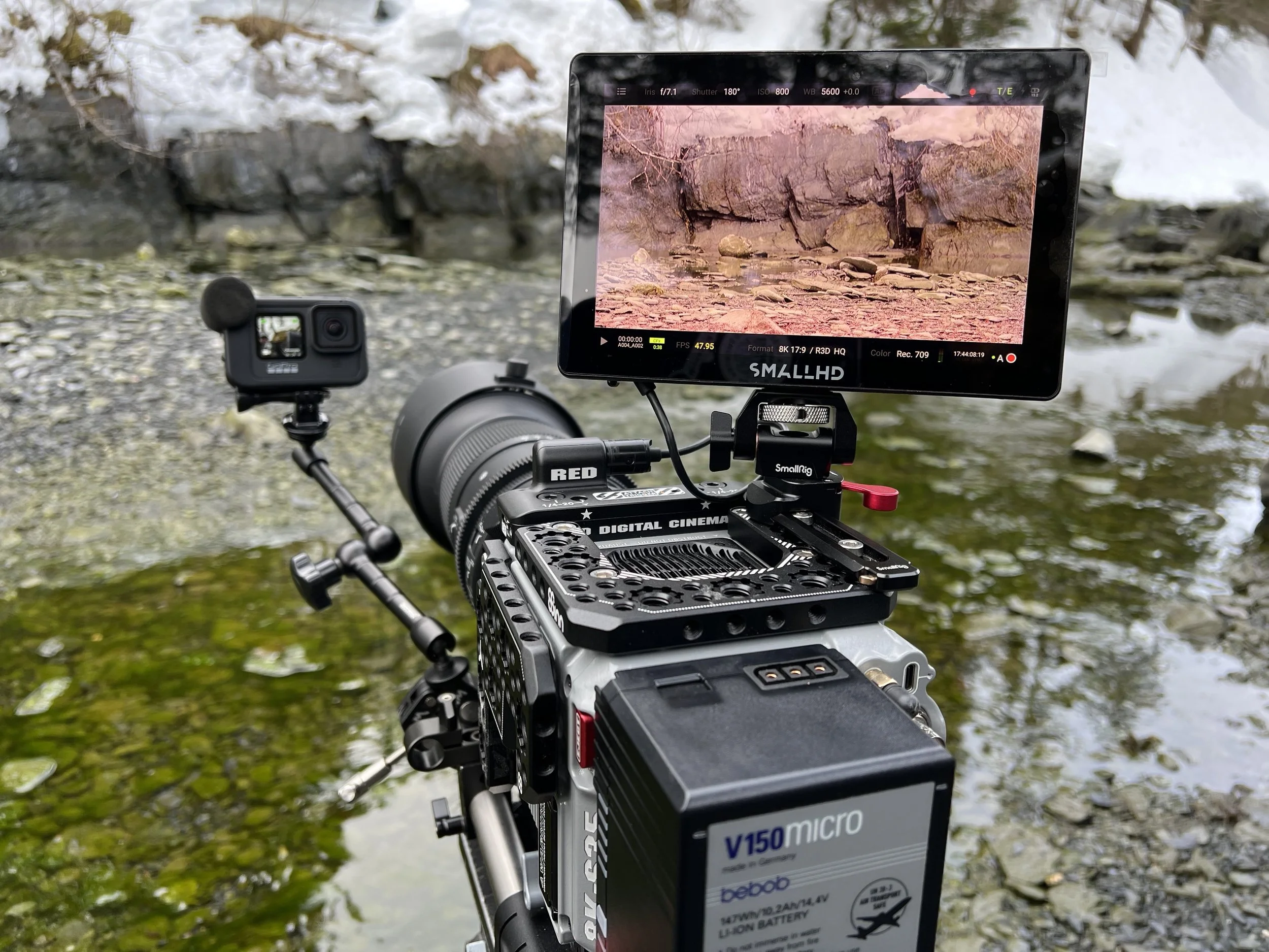 Wolves, Water, Winter and What Comes Next