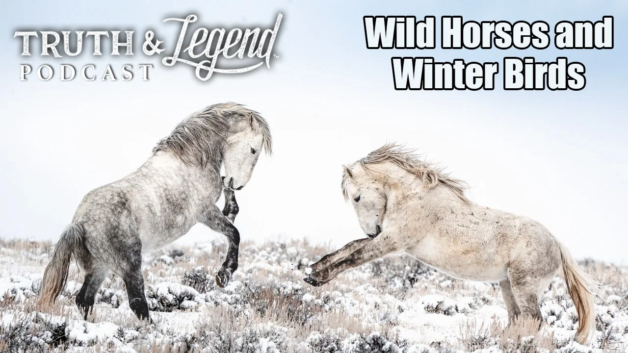 Wild Horses and Winter Birds - The Truth And Legend Podcast