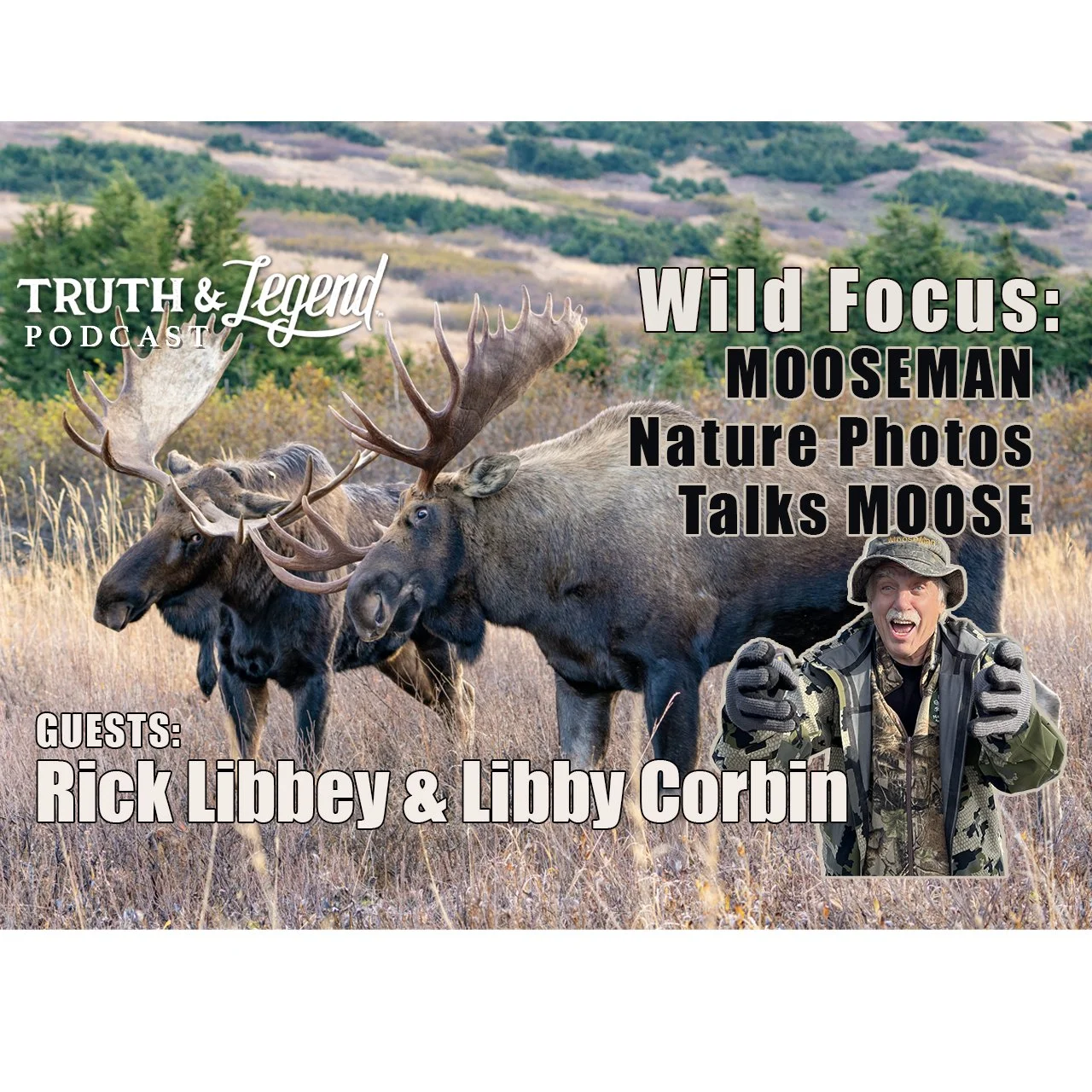 Wild Focus: MooseMan Nature Photos Talks Wildlife Photography, Videography & More