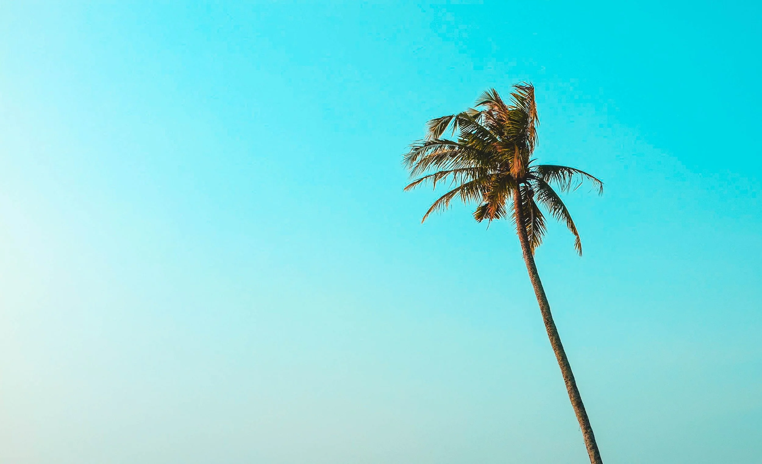 What To Do When You Lose Something You Care About