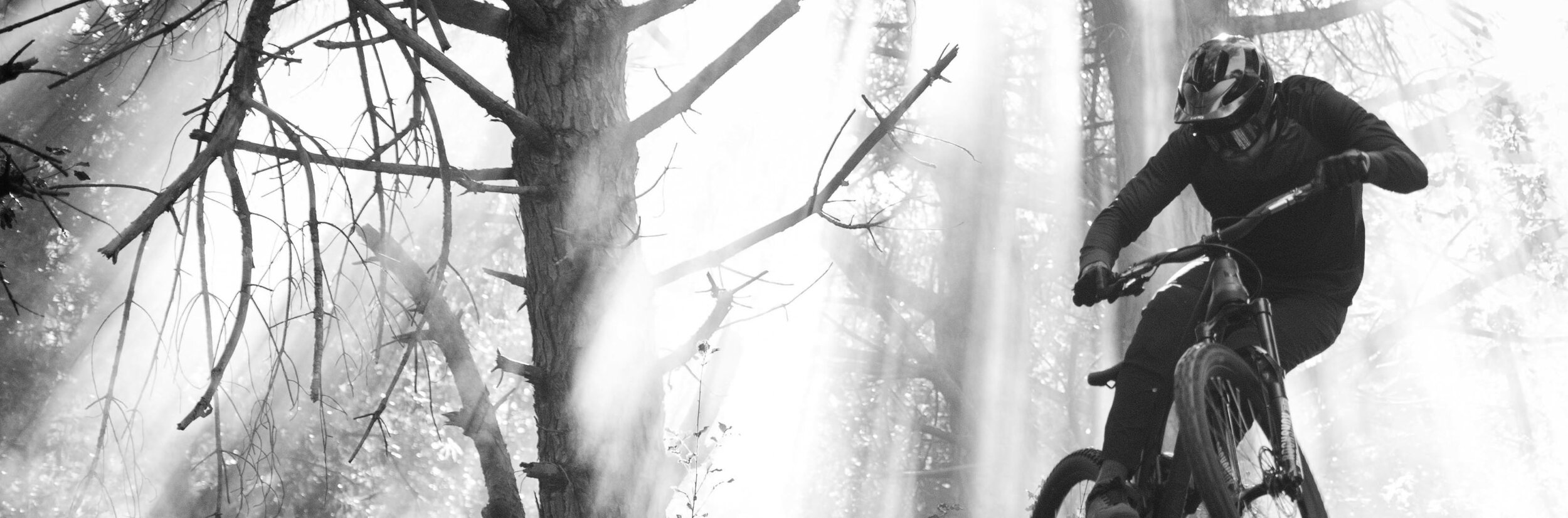 GH165 Full Cut Page v4-4.jpg