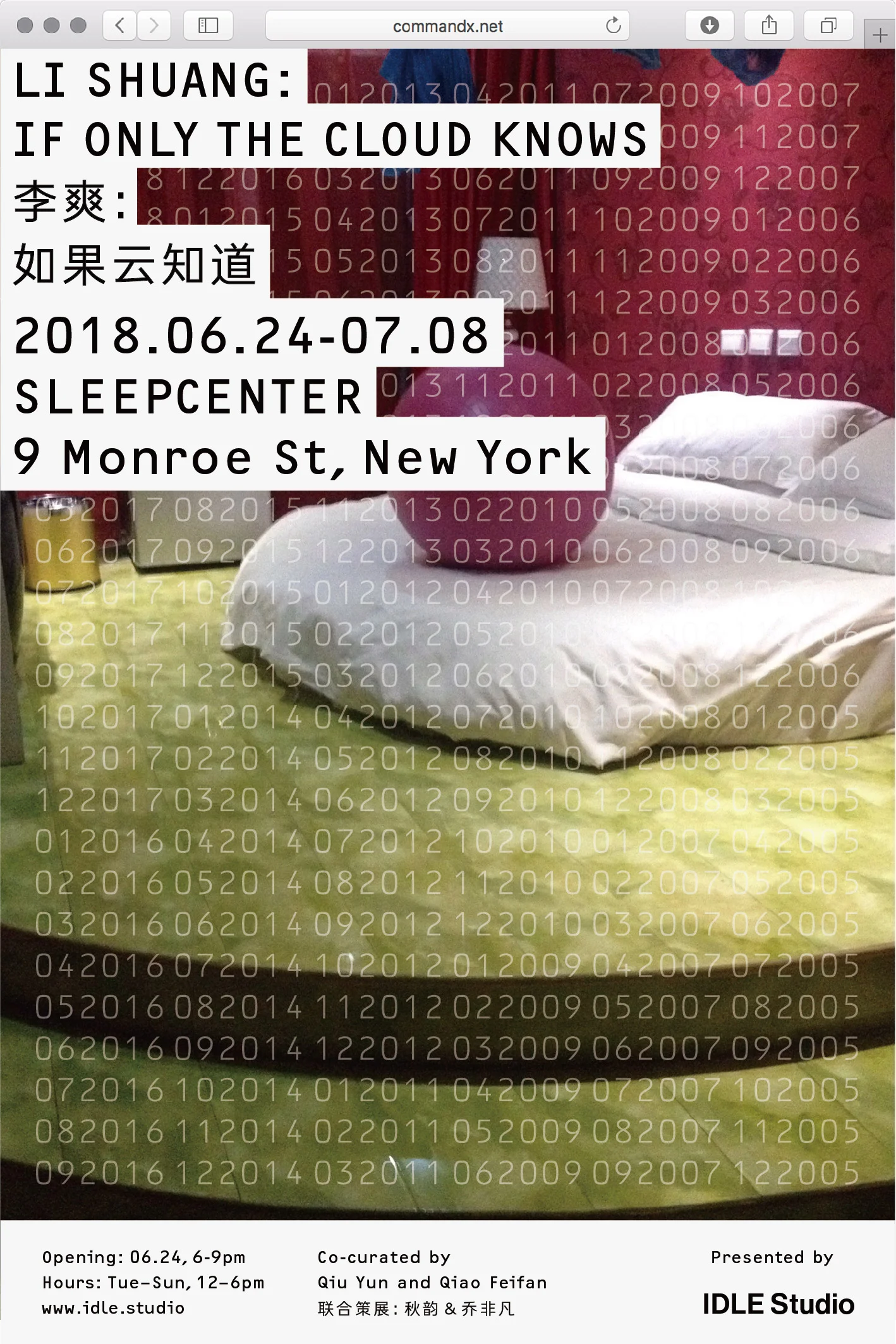 海报设计 Poster Designer: 邵年 Shao Nian