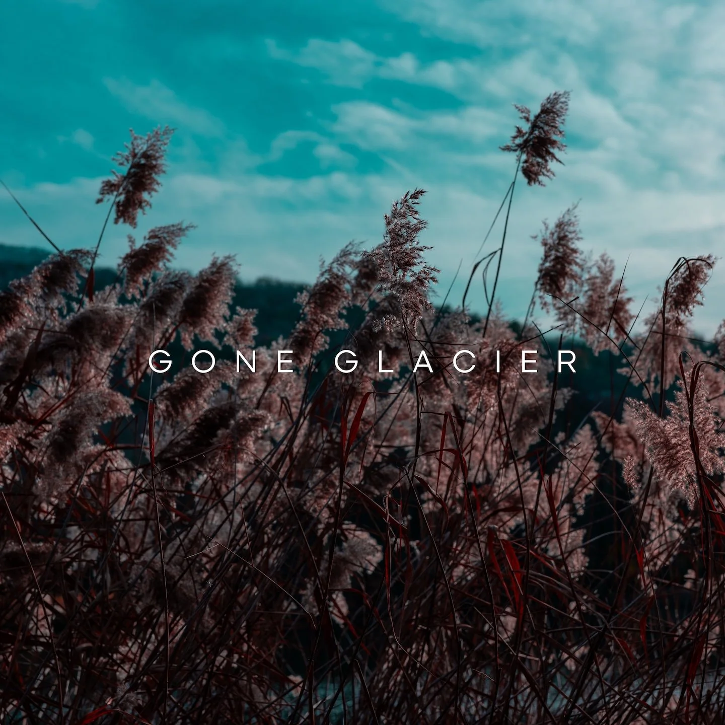 gone glacier.jpg