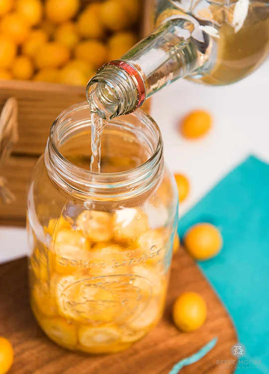 Charleston Food Photography
