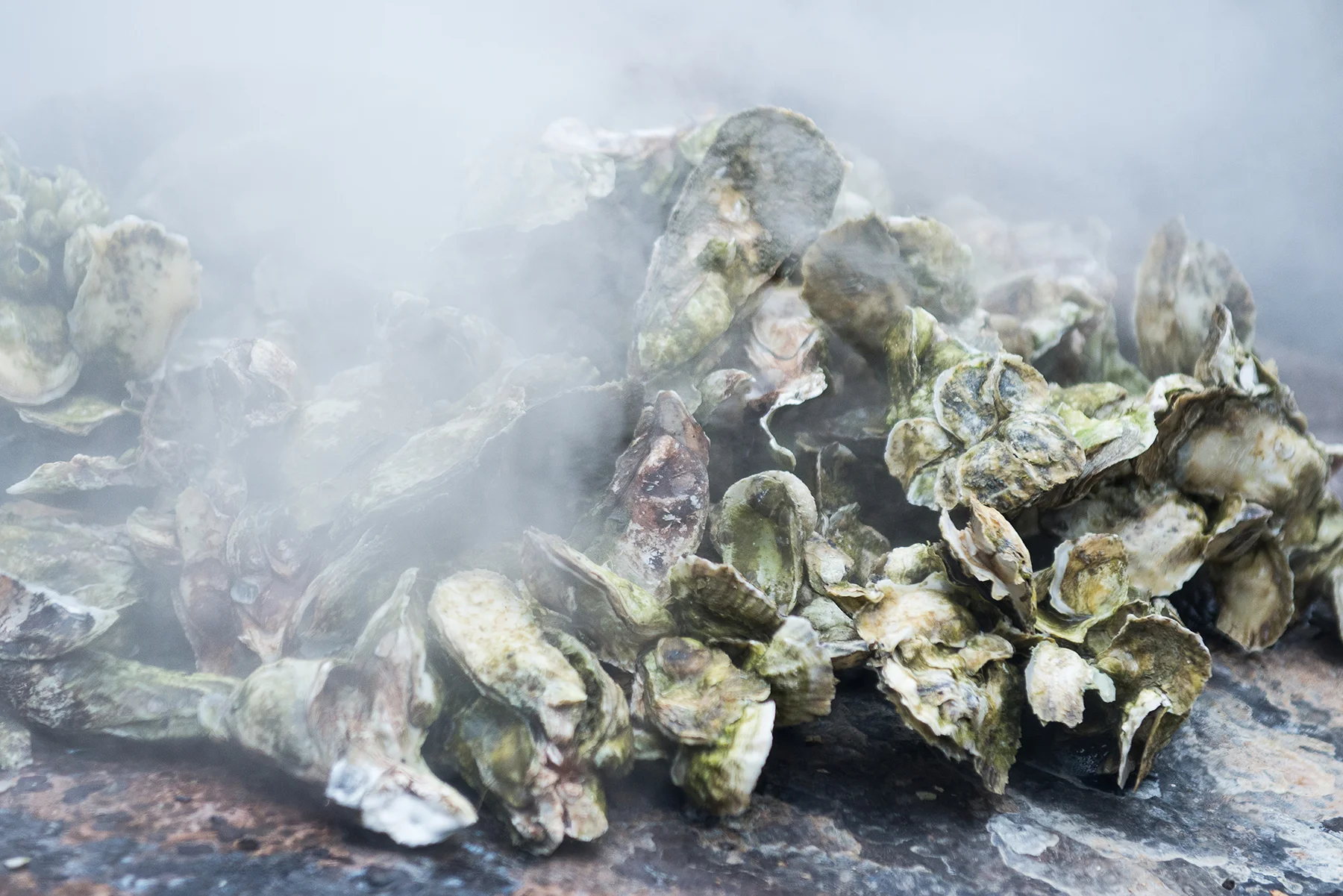Charleston Food Photography