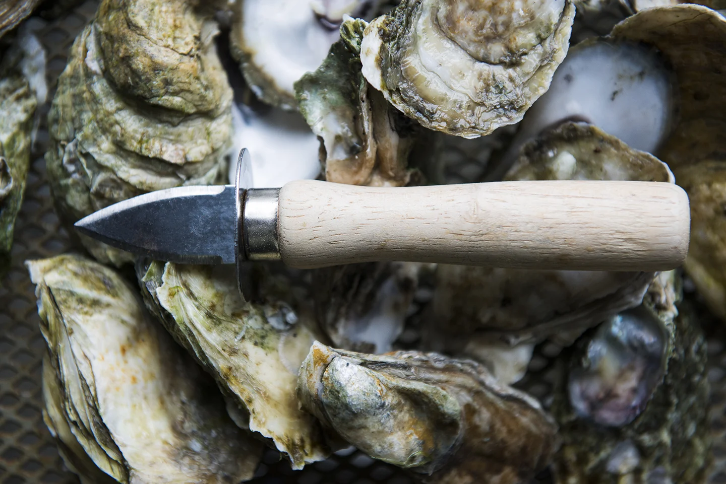 Charleston Food Photography
