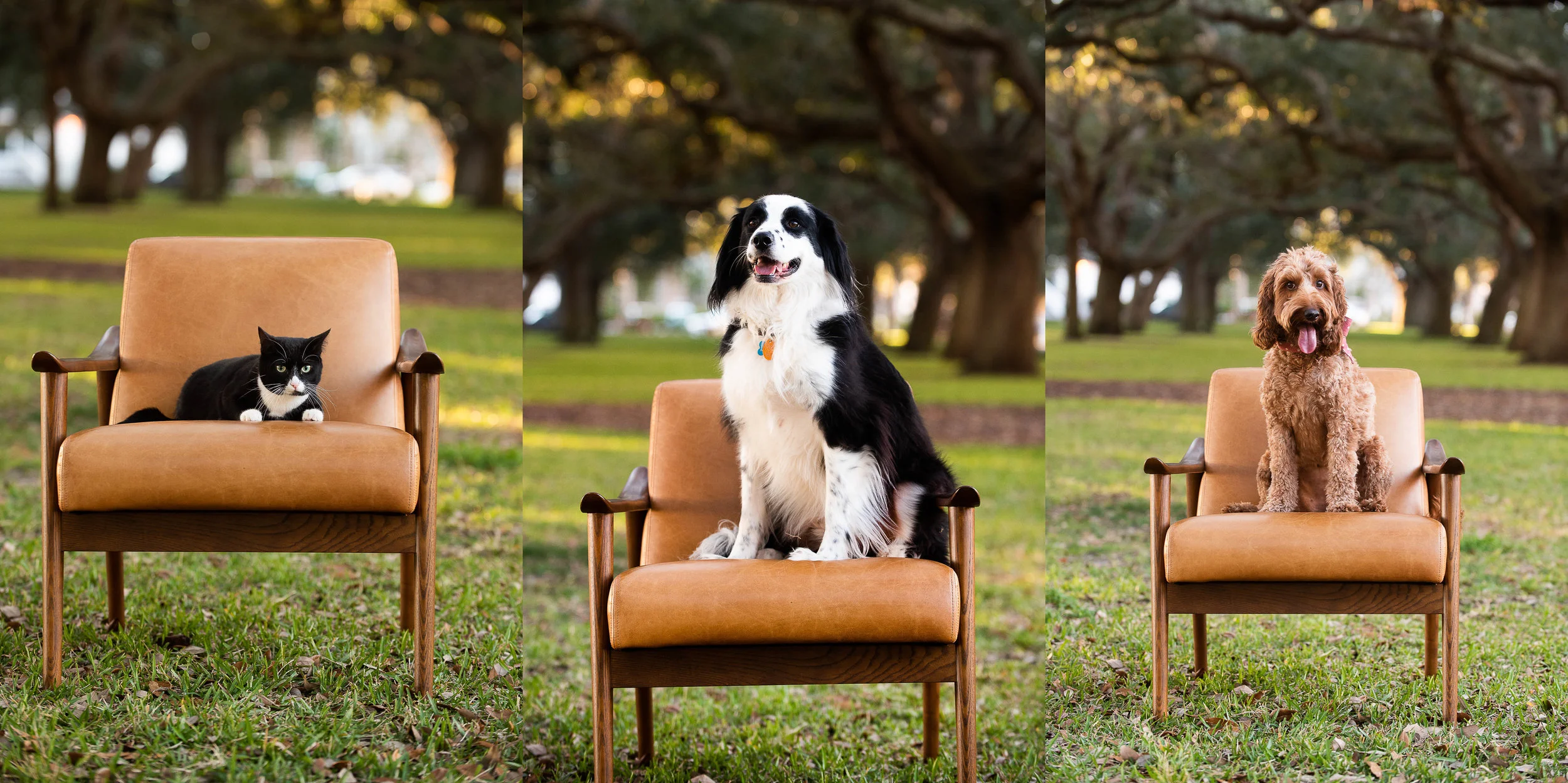 Charleston Headshots: Floor Plan Visuals