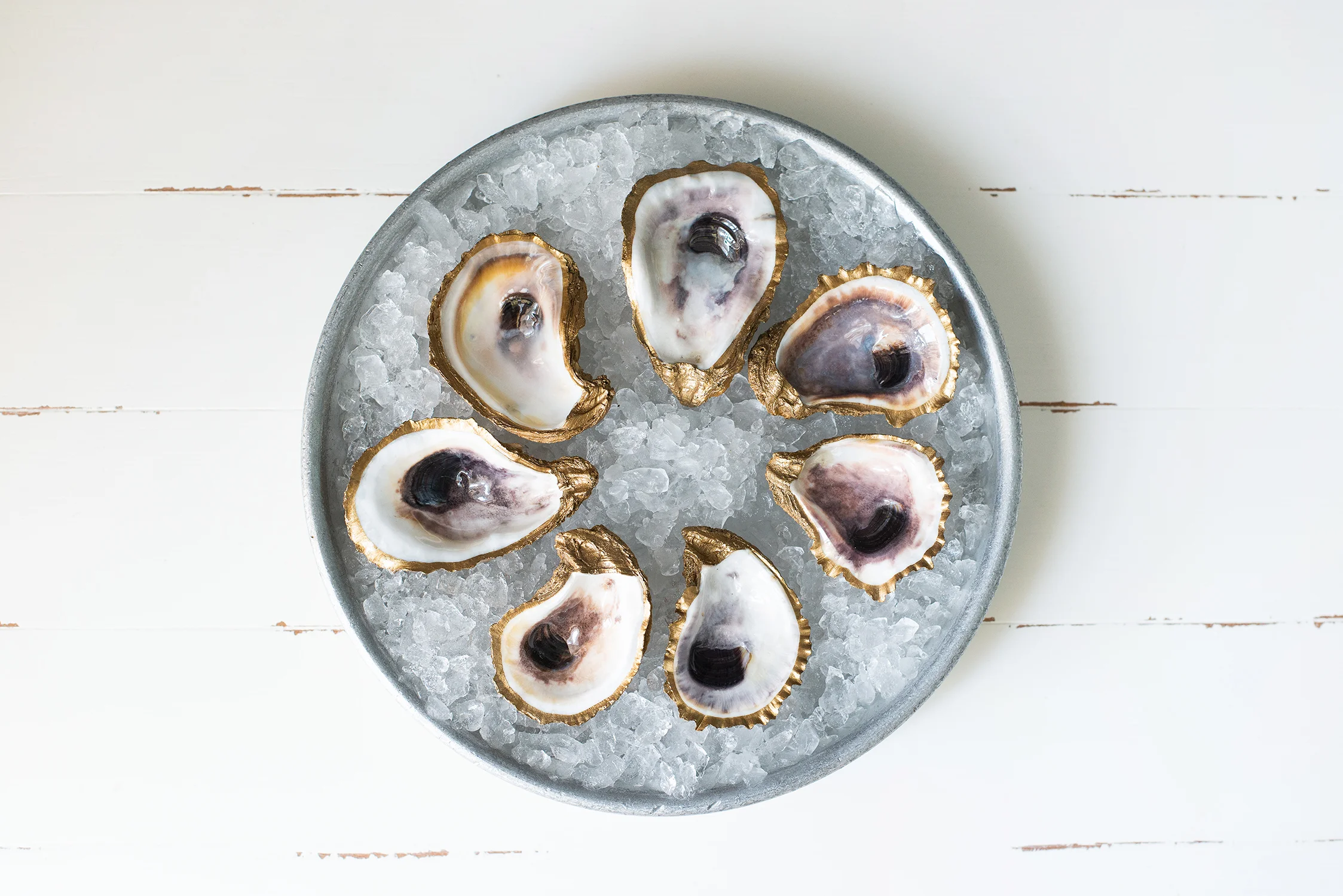 Branding by Charleston Photographer Reese Moore