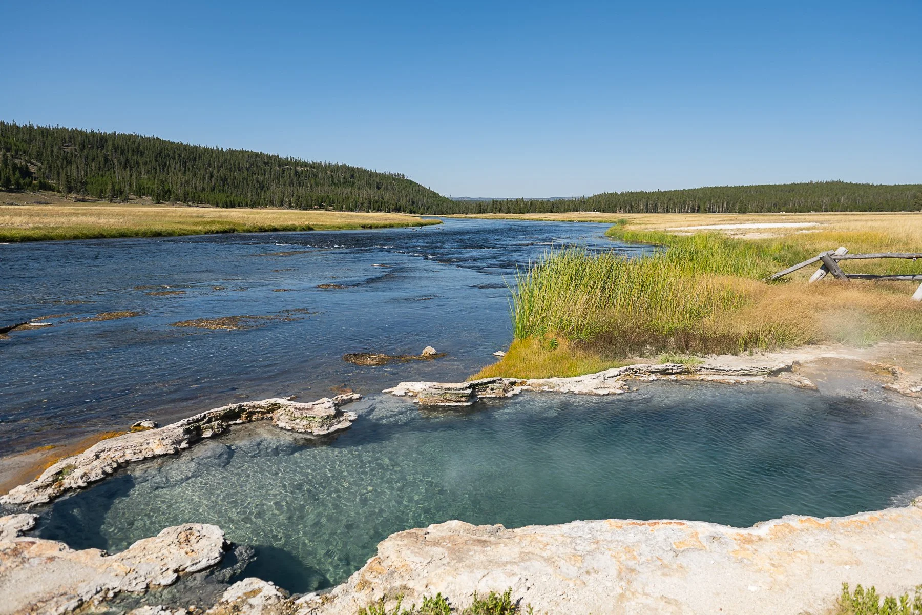 Yellowstone National Park by Charleston Photographer Reese Moore