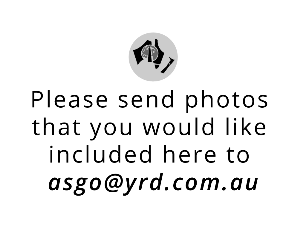 Artboard 1.png