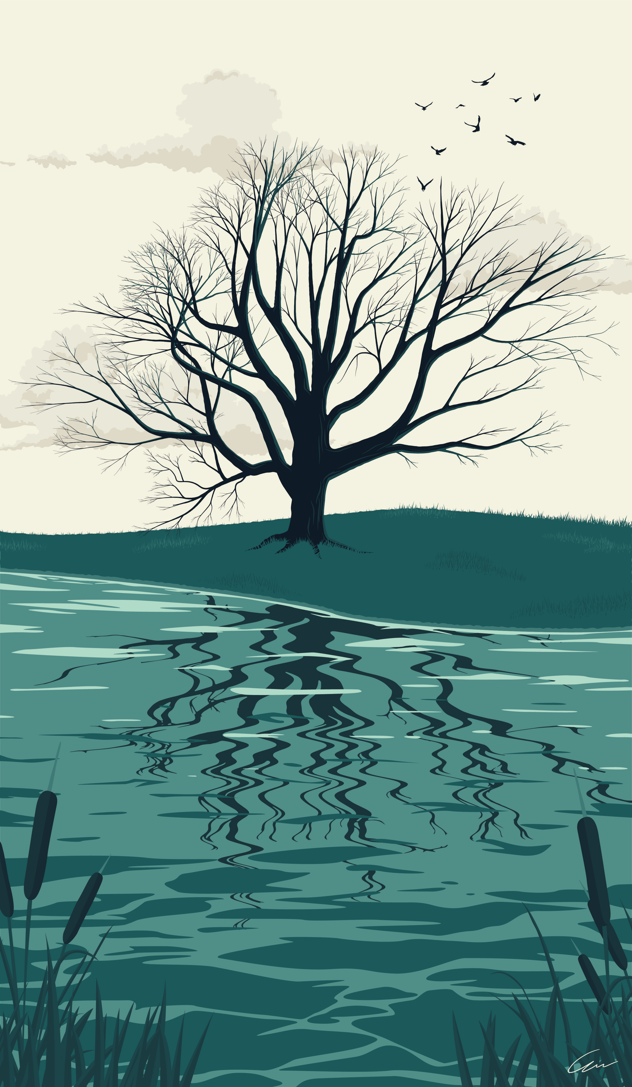  Reflections - Branches Timelapse 