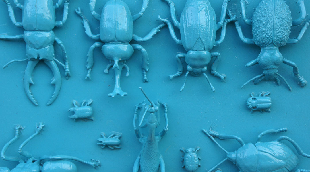Blue.jpg
